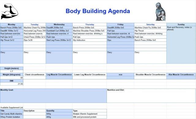 Programme de musculation